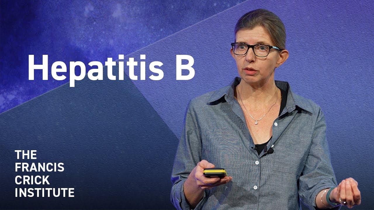 The Fight Against Hepatitis B Explained – with Philippa Matthews