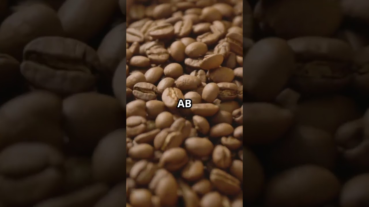 Kenya's Coffee Beyond Safaris!-#KenyanCoffee #AAAB #CoffeeKnowledge