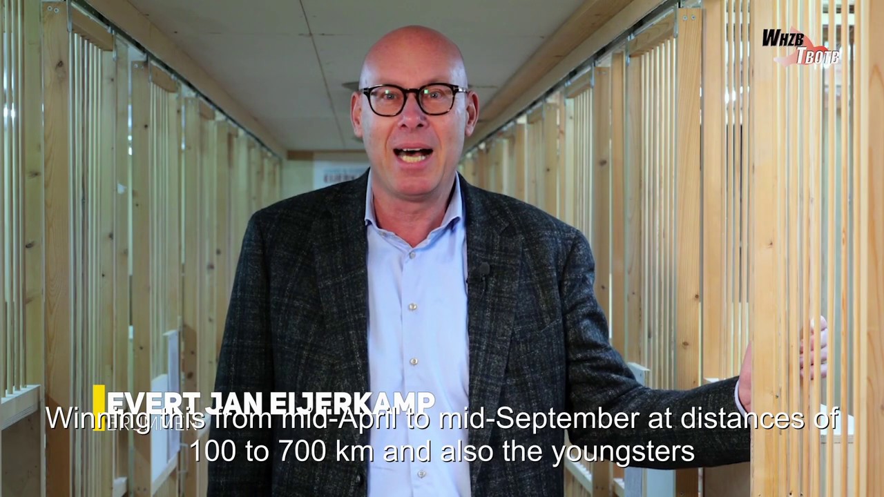 Best fancier The Netherlands WHZB 2019