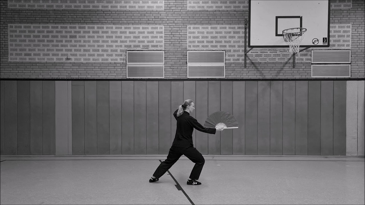 Fächerform Tai Chi | Tai Chi Fan | Taiji Shan