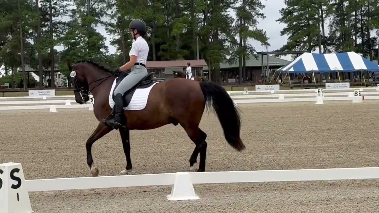 USDF Fourth Level Test 1 Claudia & Riddle 2024