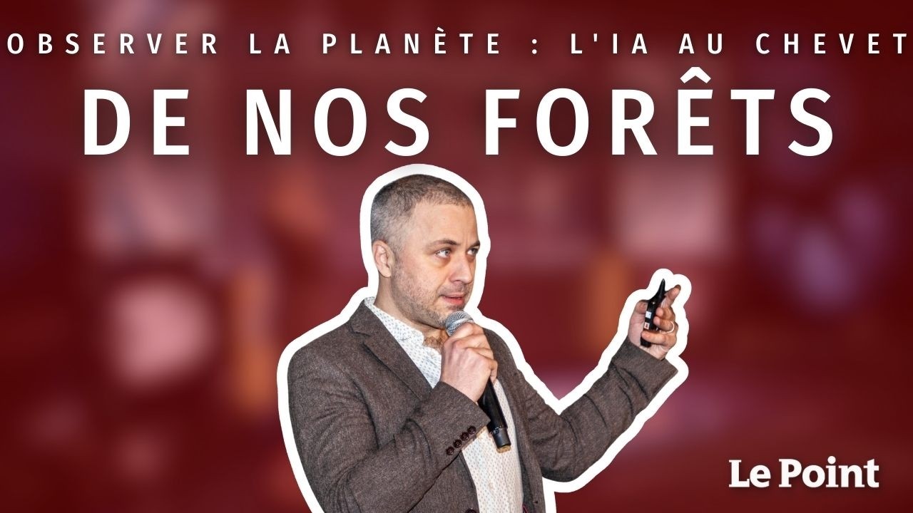 Observer la planète : l'IA au chevet de nos forêts