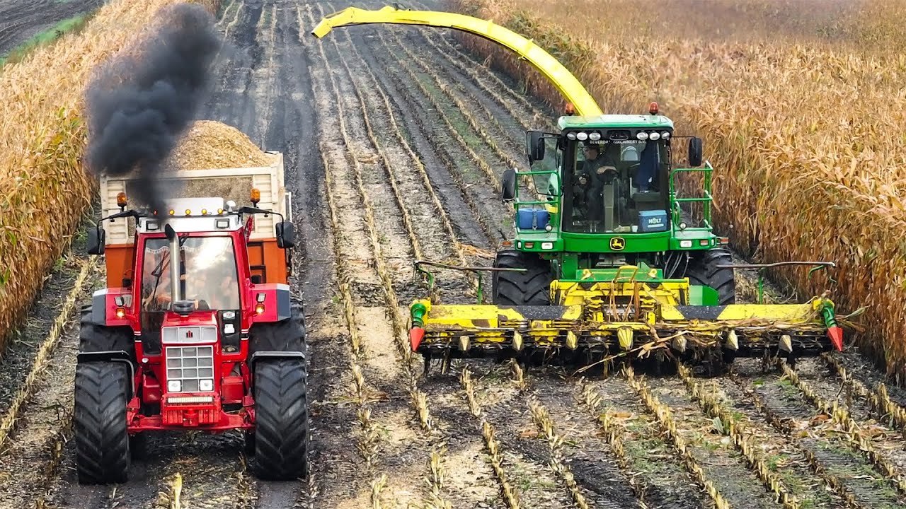 Mais Silage 2022 | International 1455XL | John Deere 7400 ProDrive