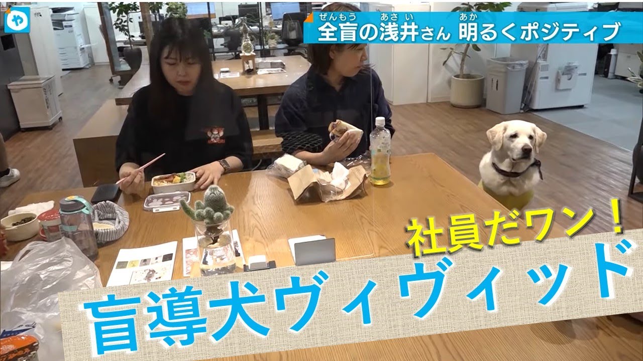 【盲導犬】ヴィヴィッドと全盲の浅井純子さん　ポジティブライフに密着。