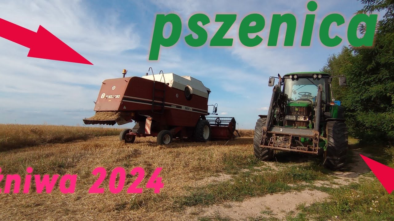 🔥 Żniwa 2024&pszenica/❤️laverda 3650/John Deere 6420💞
