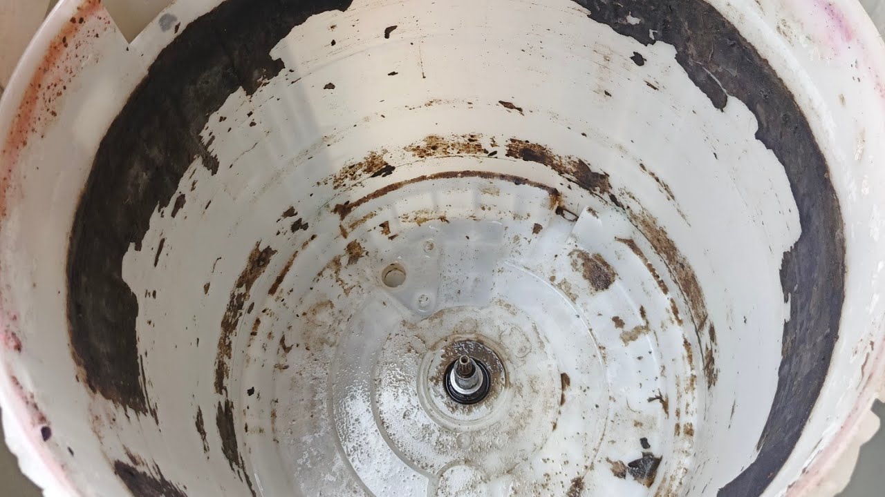 Automatic Washing Machine Cleaning #highlights #automaticwashingmachine #washingmachinecleaning #fyp