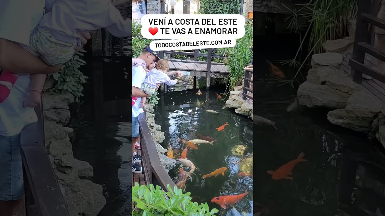 Costa del Este en verano ⛱️ TODOCOSTADELESTE Alquileres y turismo en Costa del Este Argentina