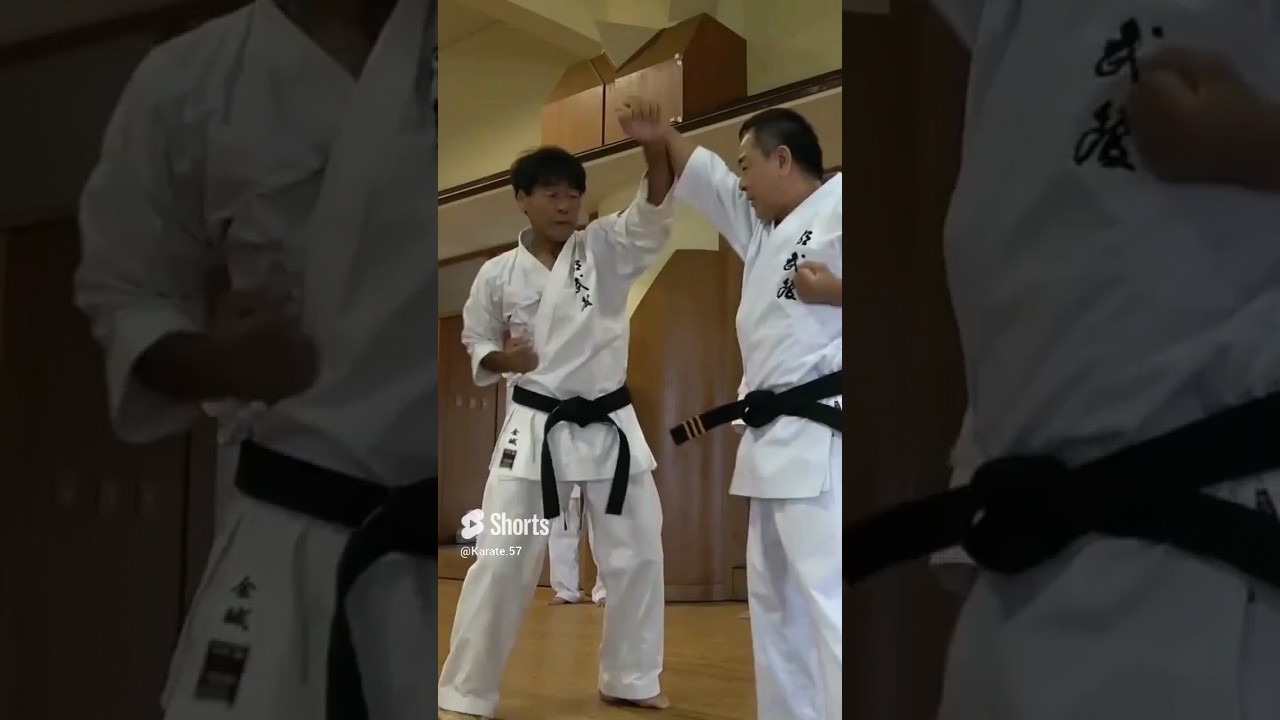 karatê Goju Ryu Gekisai Daí ichi bunkai/ 