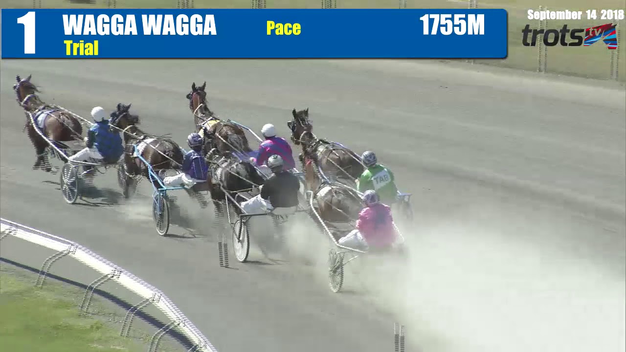 WAGGA - 14/09/2018 - Race 1 - PACE [Trial]