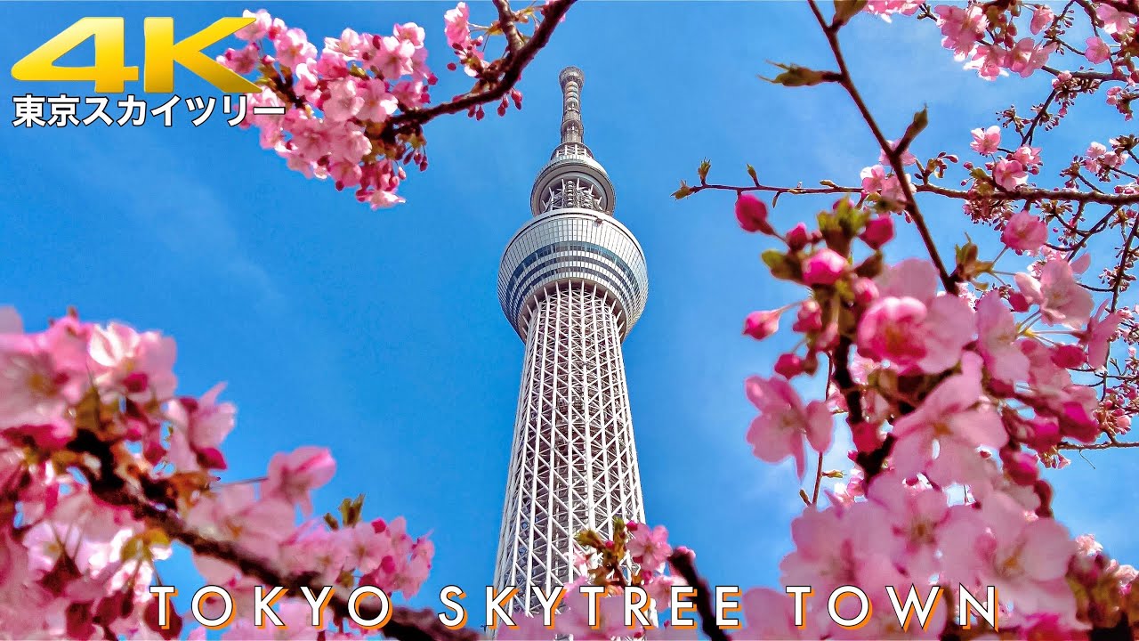 【4K/60fps】Tokyo Japan - Skytree town walk tour | Blooming Sakura