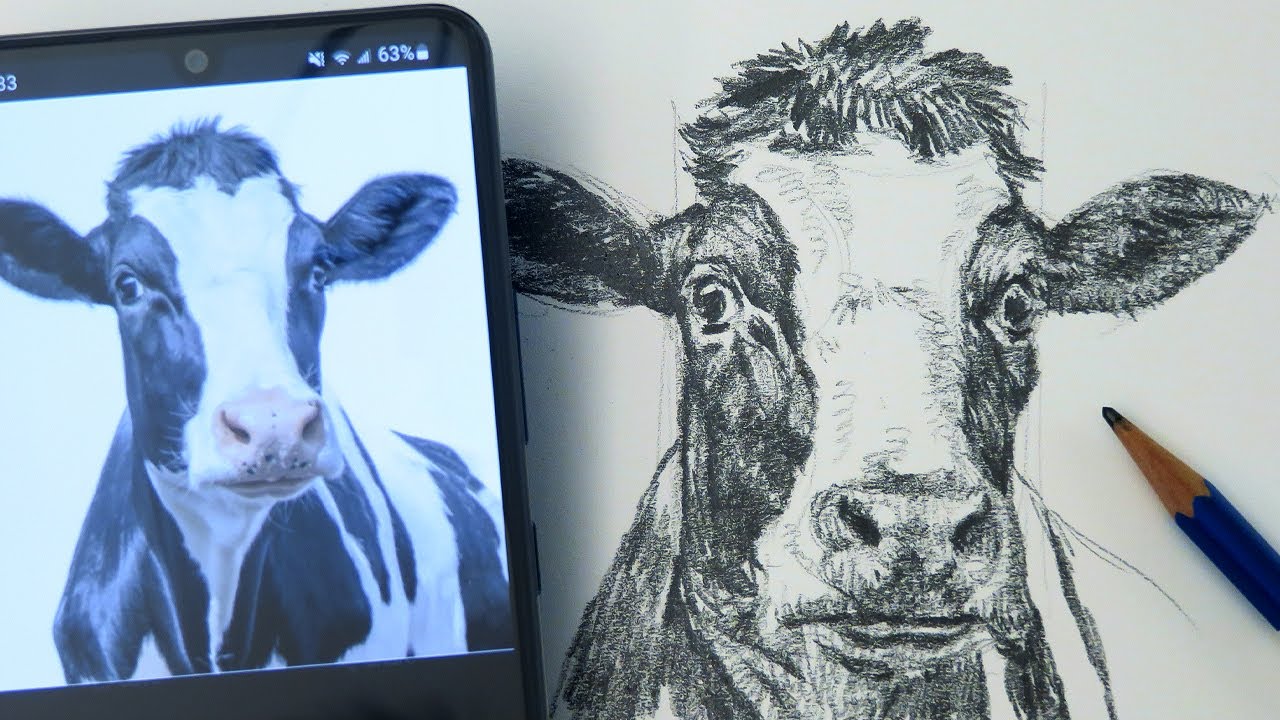 Draw and Shade a Cow Step by Step