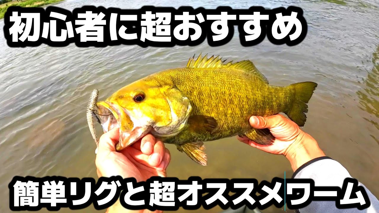 放置してても釣れる！川スモールおすすめワームと使い方を説明します　