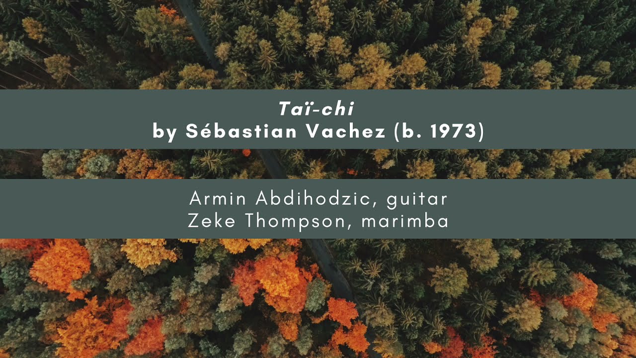 Tai-chi (Sebastian Vachez) - Armin Abdihodzic, guitar