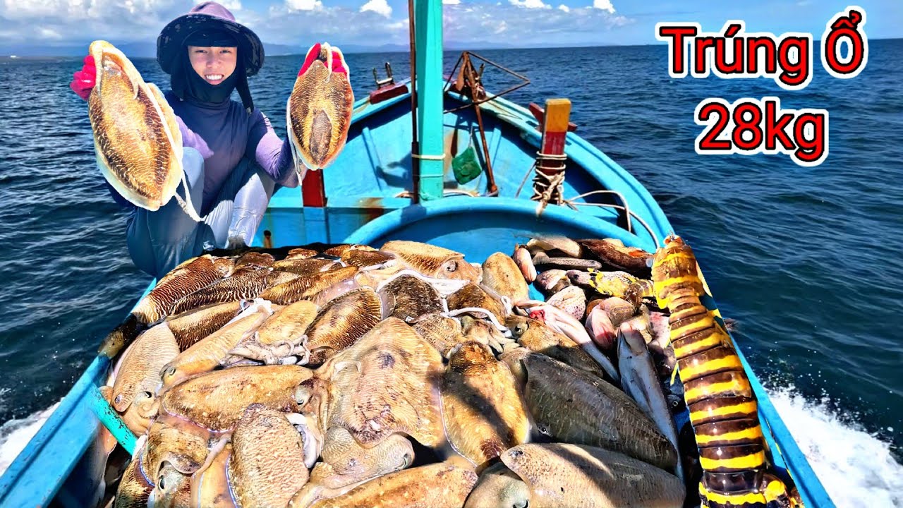 Liều Mình Lặn Xuống Độ Sâu 20 Mét Gặp Mực Nang Nằm Rất Nhiều Ở Điểm Trà | P 778