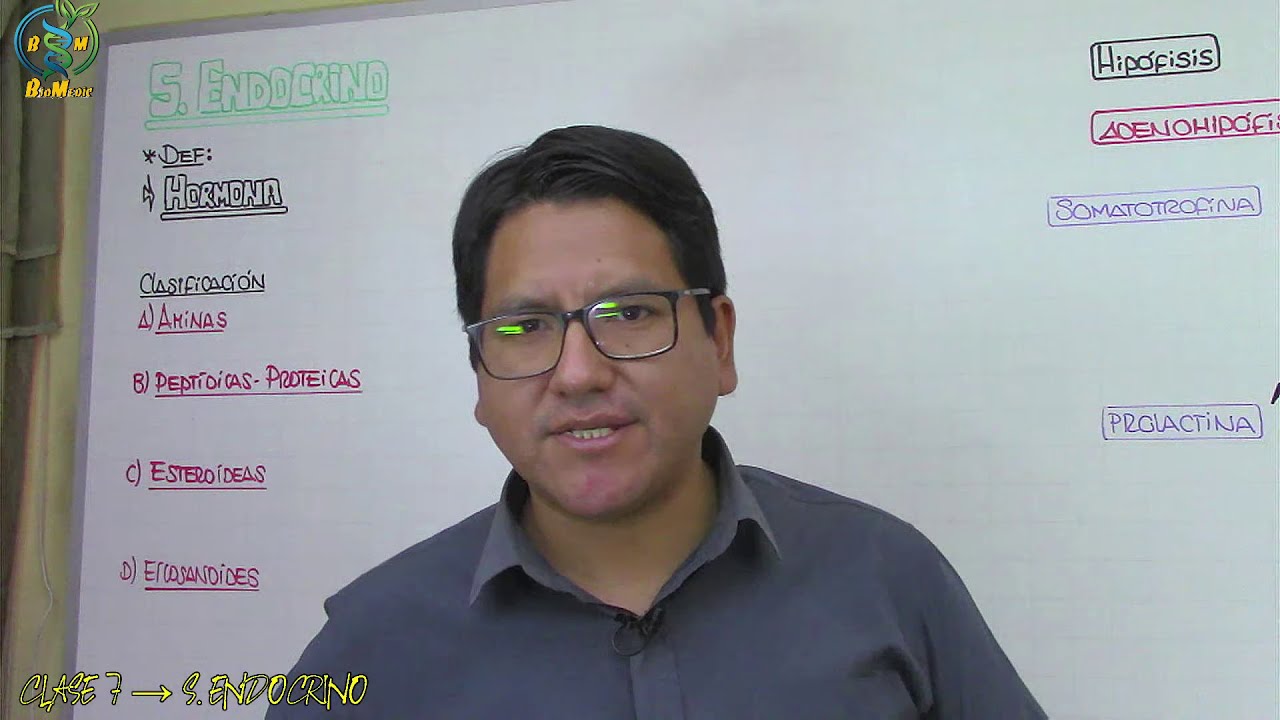 ✅✅ CLASE 7 👉🏻SISTEMA ENDOCRINO