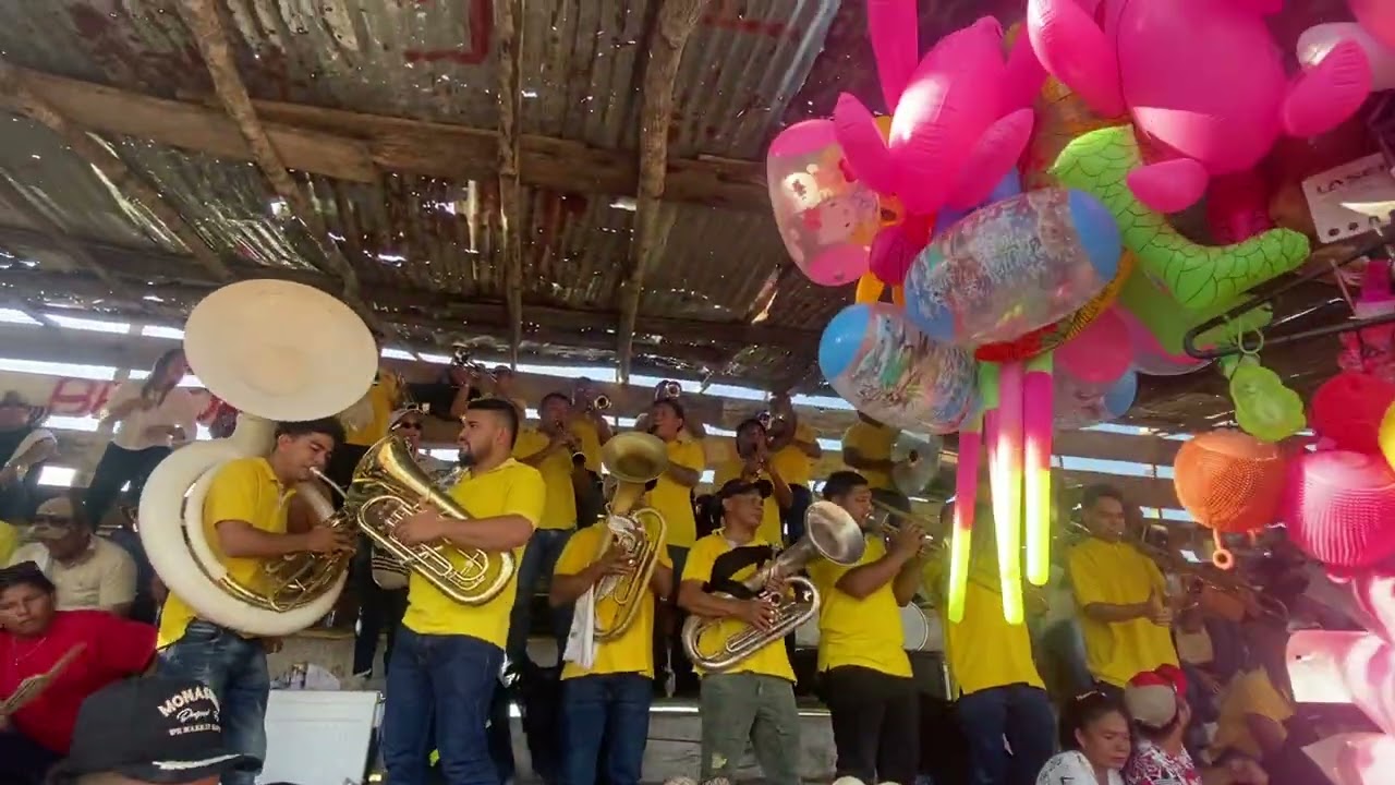 PADRE, HIJO Y PORRO  BANDA CENTRAL DE PLANETA RICA (DINÁSTIA CASIANO)