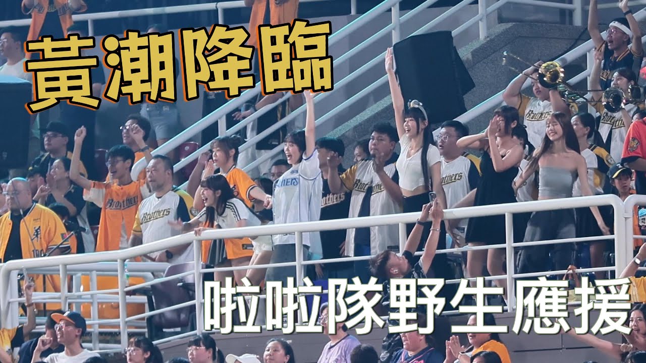 黃潮降臨 啦啦隊