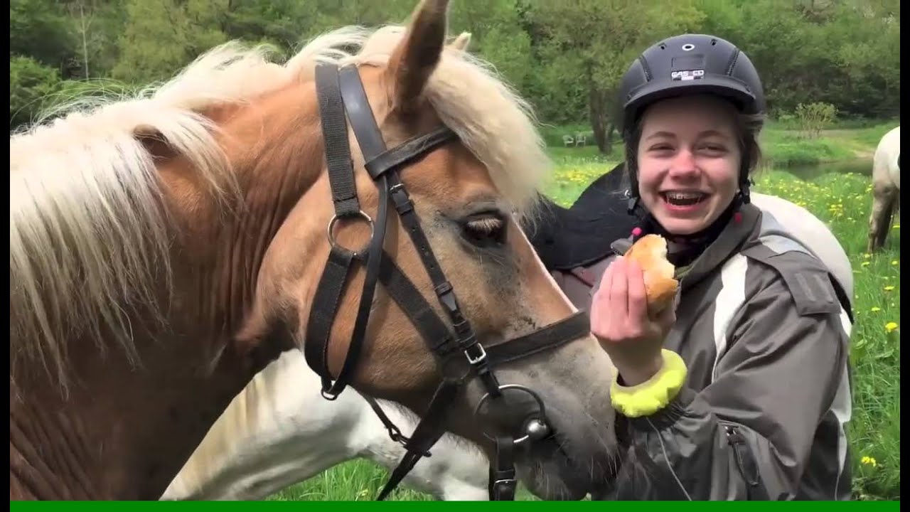 Wanderreiten auf dem Dackscheid