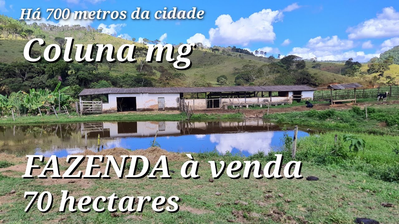 PROPRIEDADE | FAZENDA DE 67,76 HECTARES À VENDA EM COLUNA MINAS GERAIS [ TERRENO]