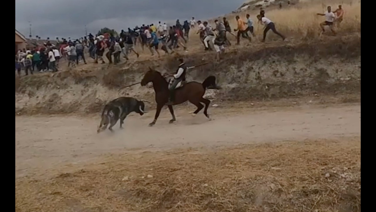 ÚLTIMO ENCIERRO CUELLAR JUEVES 2024 // A CABALLO CON UNA GOPRO