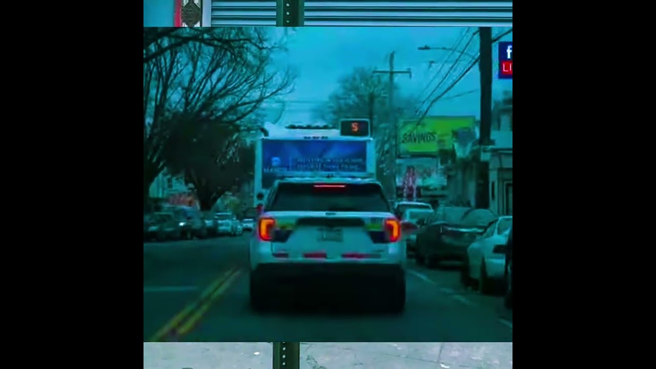 Life at Kensington Ave by Bolo Connection