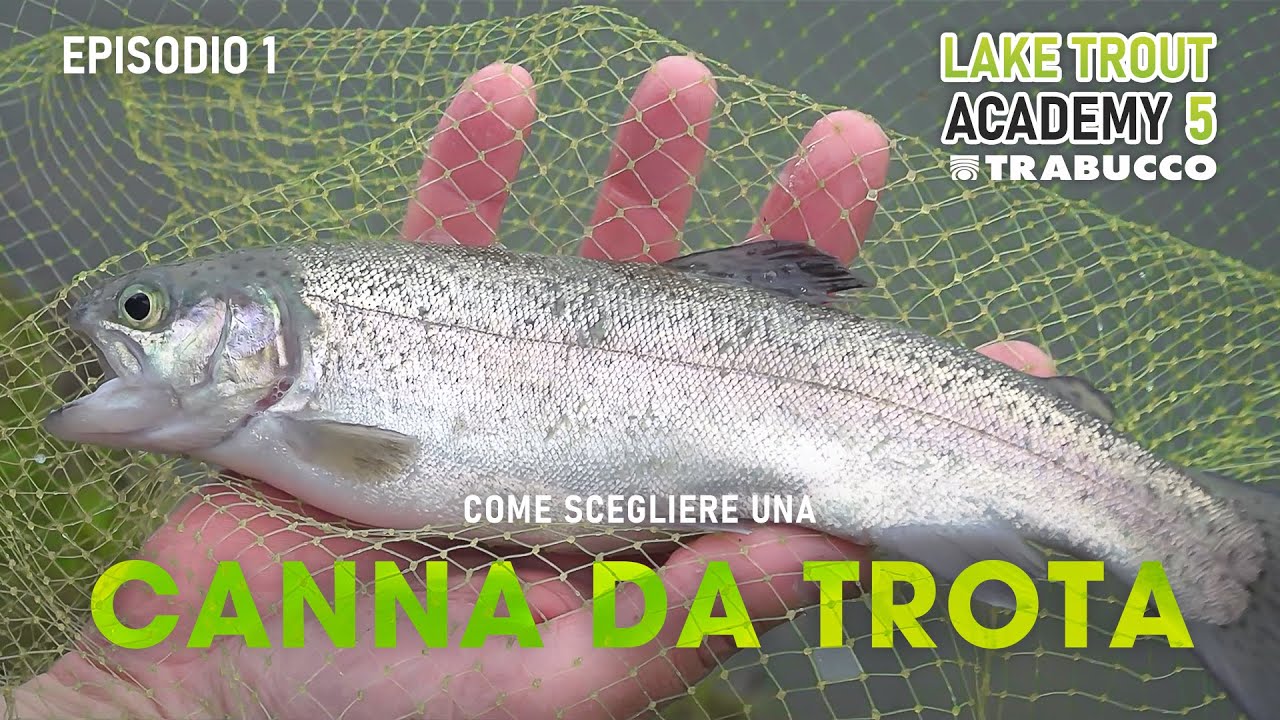 Pescare TROTA LAGO: COME si sceglie una CANNA da PESCA per la TROTA LAGO❓ » Lake Trout Academy S5E1