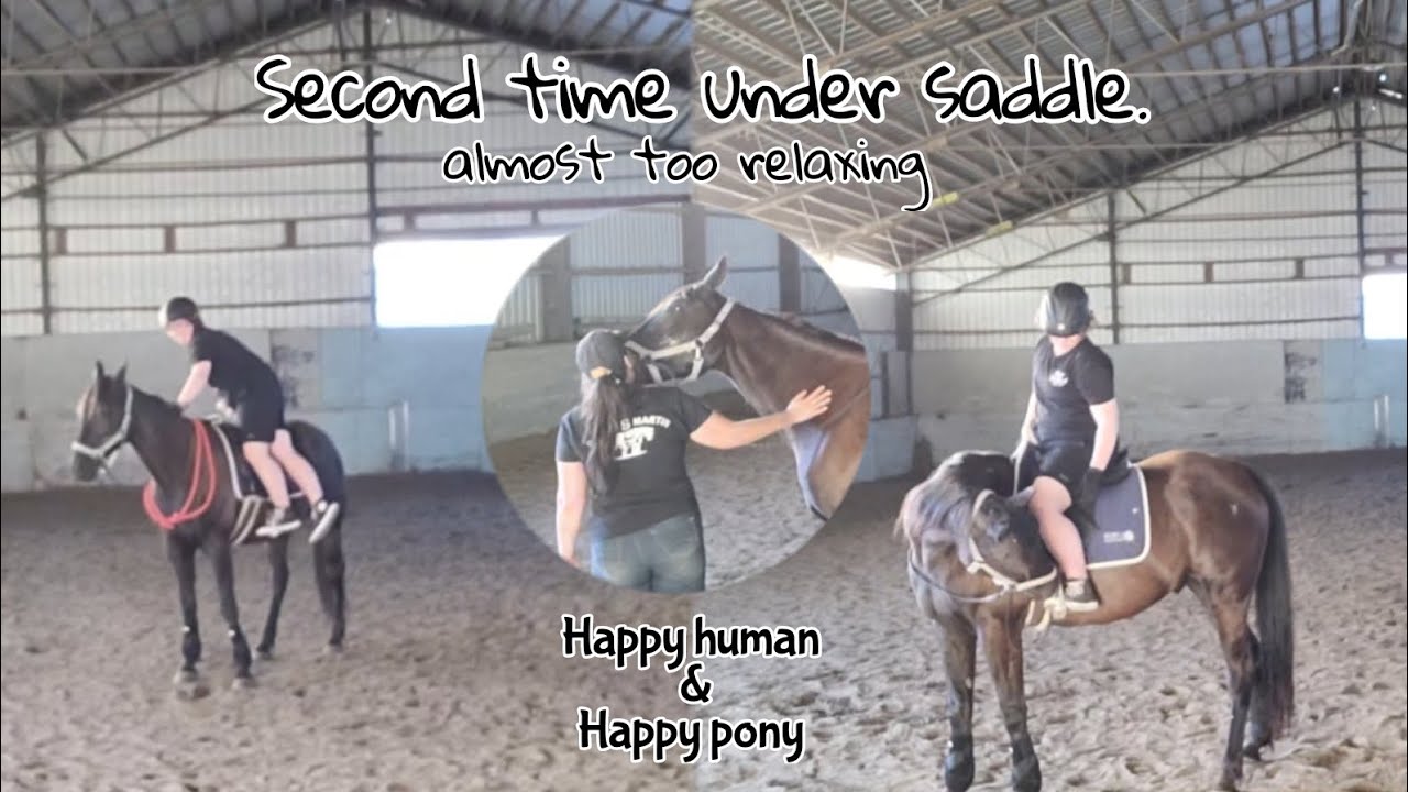 Second Time Ridden {Retraining The Standardbred.} [10.09.2025]