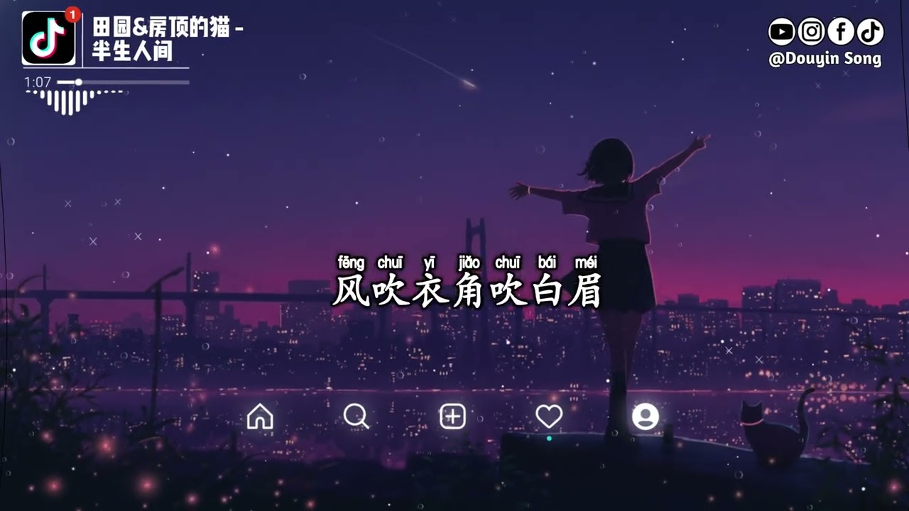 田园 & 房顶的猫 - 半生人间『他将半生交给了天意，命运却埋下不凡的伏笔，潦草几载又过几个季』【动态歌词MV】