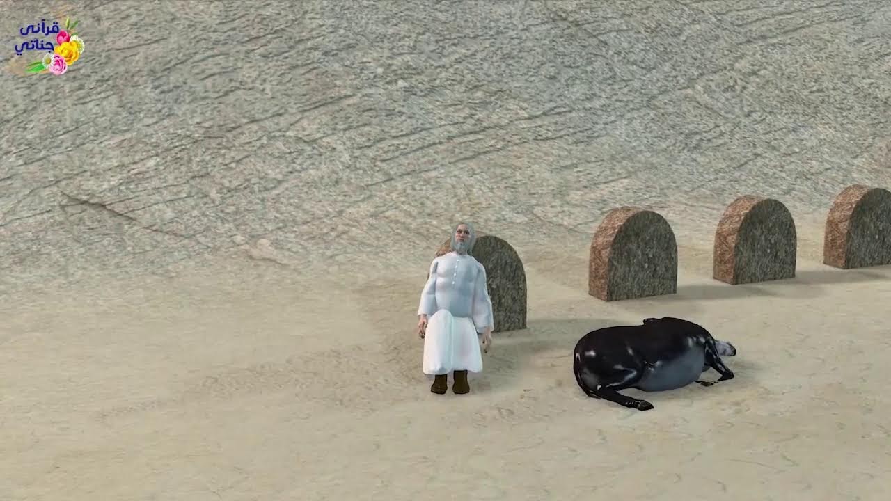 يونس-داود والسليمان-العزيرعليهم السلام - ذوالقرنين-اصحاب الاخدود-اصحاب الرس- الامام ابوحنيفةالنعمان