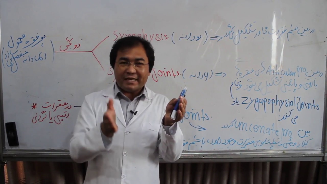 Anatomy| Back| Joints| Ligaments| Lecture 17| اناتومی پشت| مفاصل پشت| لیگامنت های پشت|