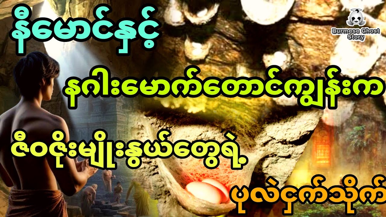 နီမောင်နှင့် နဂါးမောက်တောင်ကျွန်းက ဇီဝဇိုးမျိုးနွယ်တွေရဲ့ ပုလဲငှက်သိုက် (အစအဆုံး)