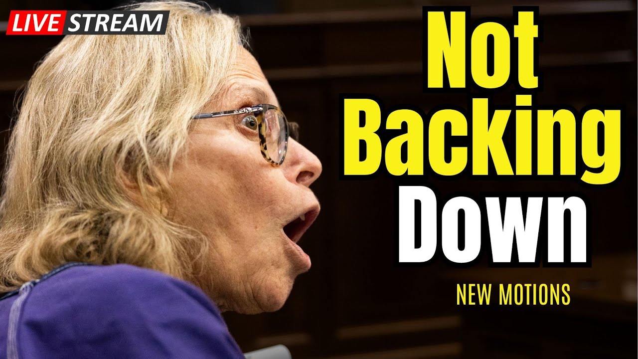 Donna Adelson Fights Back: Explosive New Motion Claims Judge Was Secretly Fed False Intel