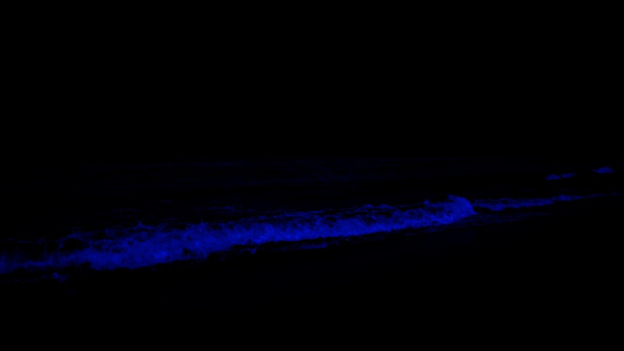 Vola in un sonno tranquillo con le onde pacifiche dell'oceano • Smetti di pensare troppo, dormi