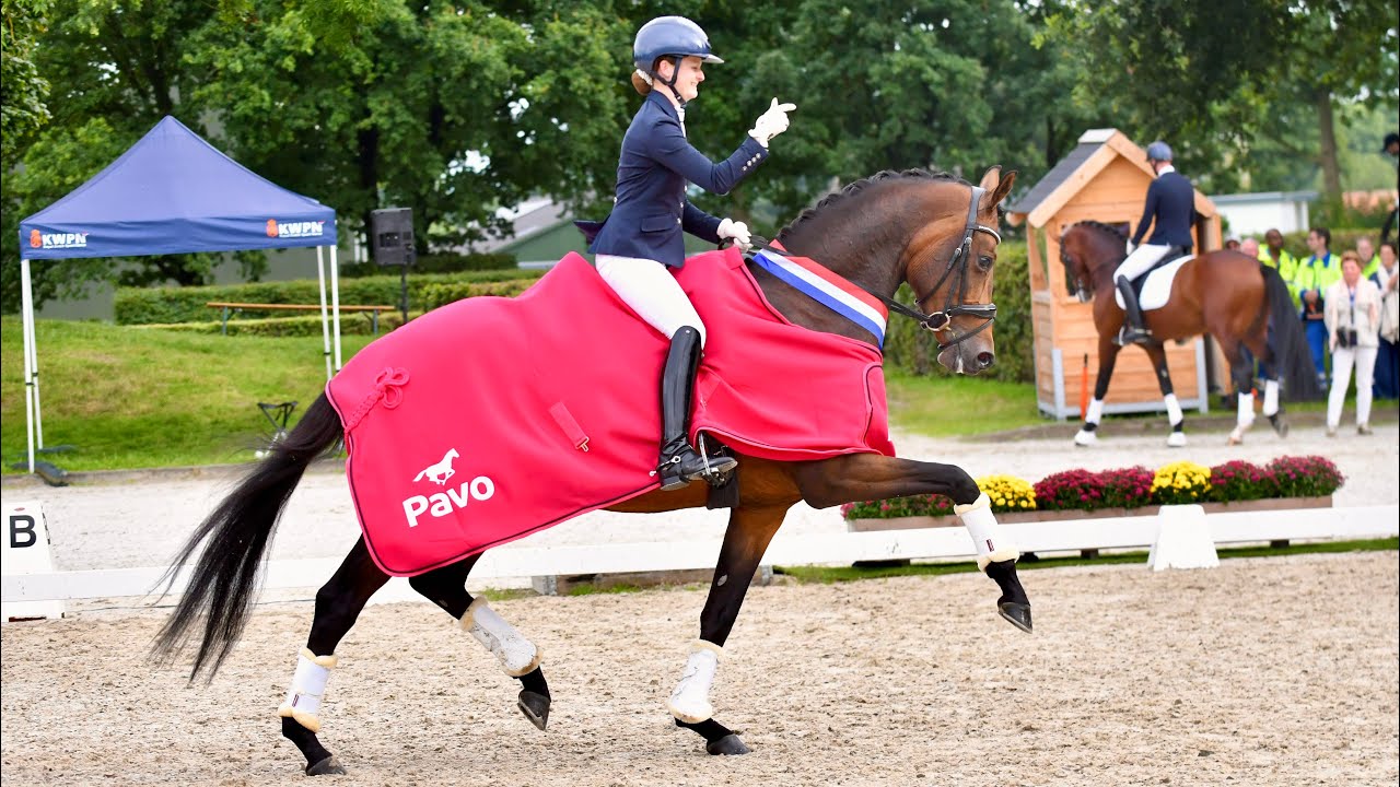McMary (McLaren x Ampère) ridden by guest rider Simone Pearce at PAVO Cup final 4-yo class 2025 