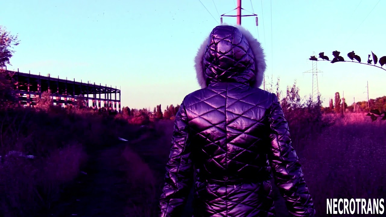 THE ROSE GOLD VANGUARD OF THE NEW CIVILIZATION - THE ASCENSION OF PROGRESSIVE MINDS IN STELLAR ARMOR