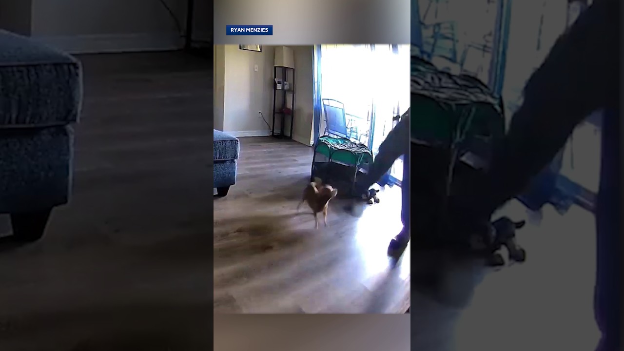 HVAC worker fired, arrested after pet camera shows him kicking Sanford dog unconscious