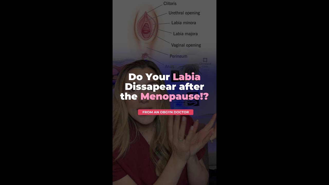 Do Your Labia Disappear after the menopause?