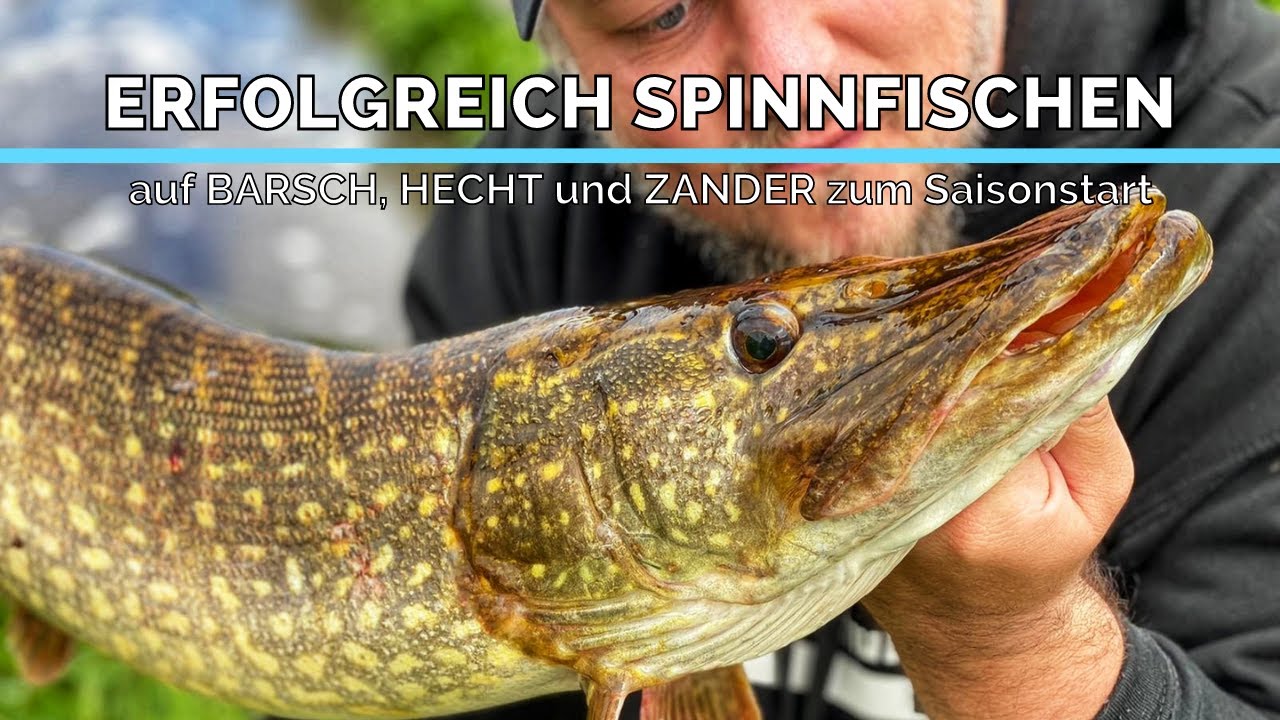Erfolgreich Spinnfischen auf BARSCH, HECHT und ZANDER | MEGA SAISONSTART
