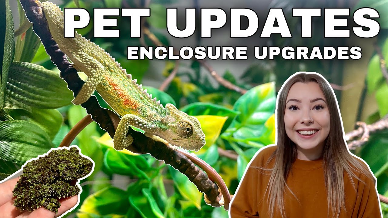 More UPDATES On My Pets And Pet Room!