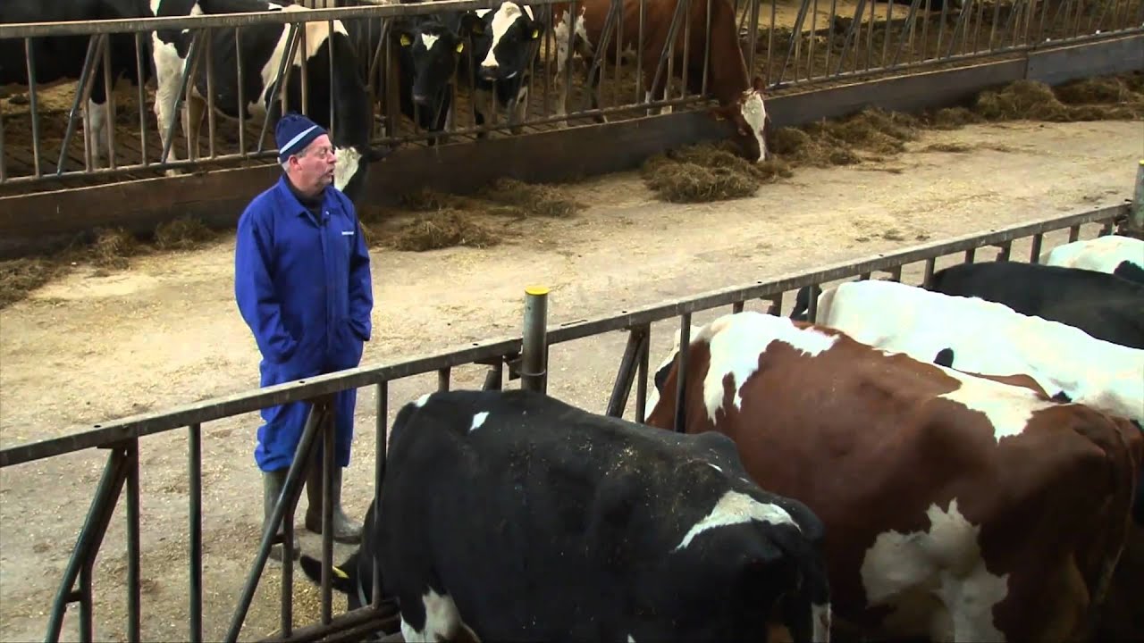 'We hebben bedrijf van de toekomst'