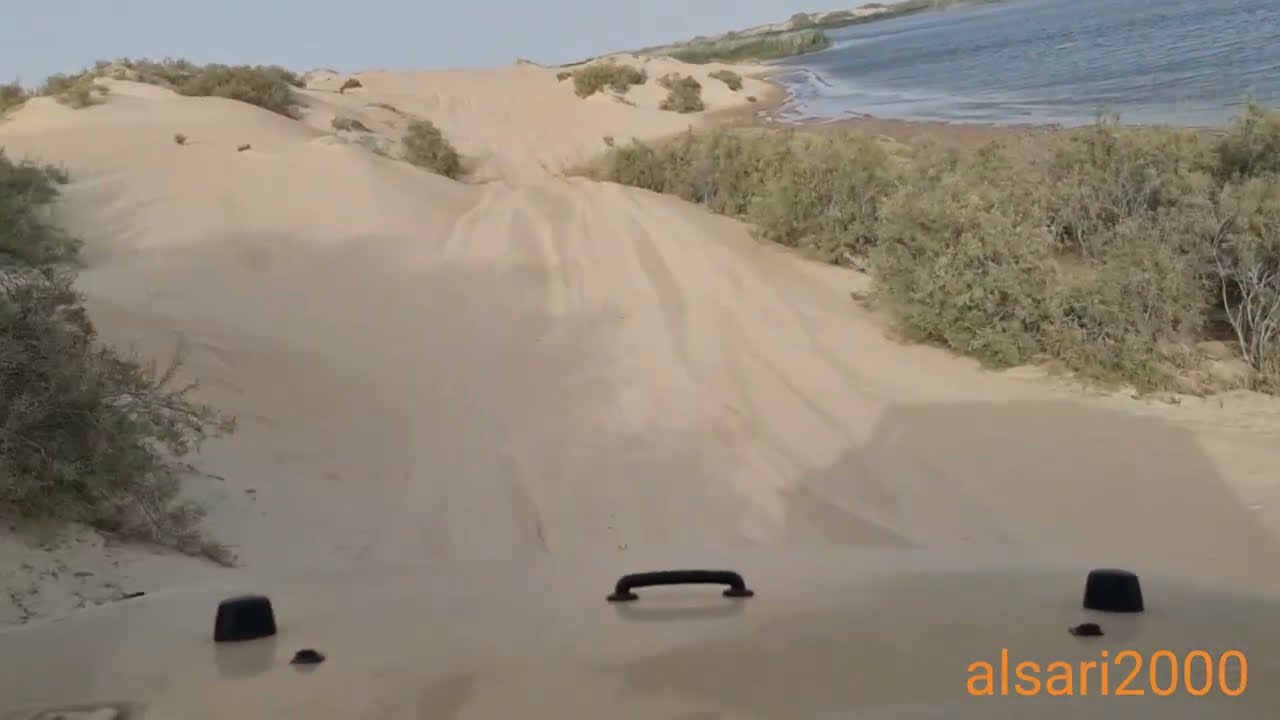 الطريق إلى بحيرة الأصفر بالأحساء