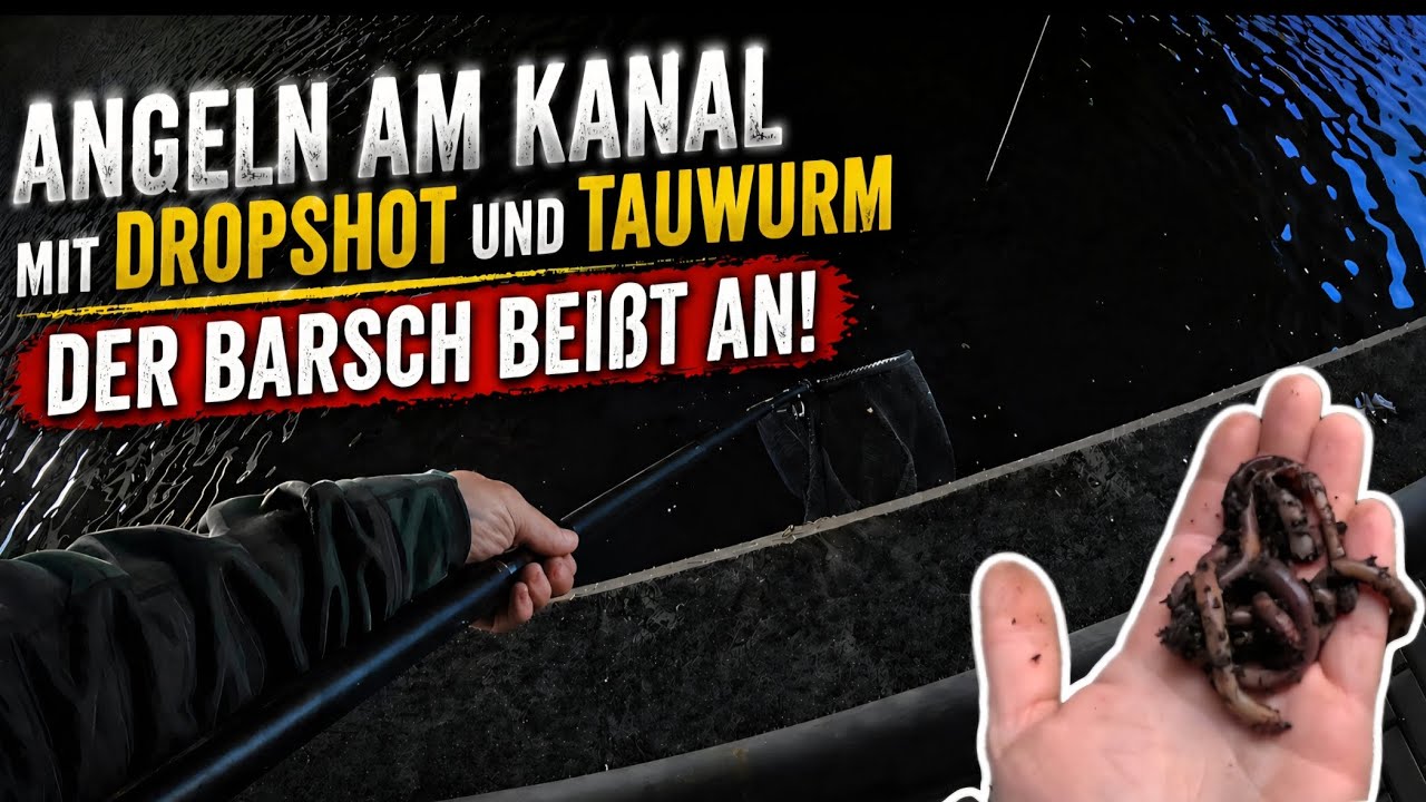 Angeln am Kanal mit Dropshot und Tauwurm [ Mit Unterwasseraufnahmen ]