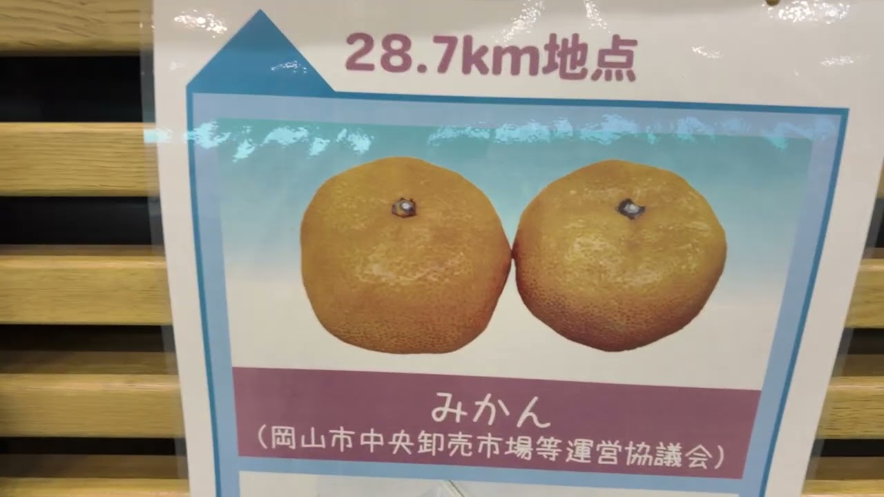 岡山マラソン前日受付