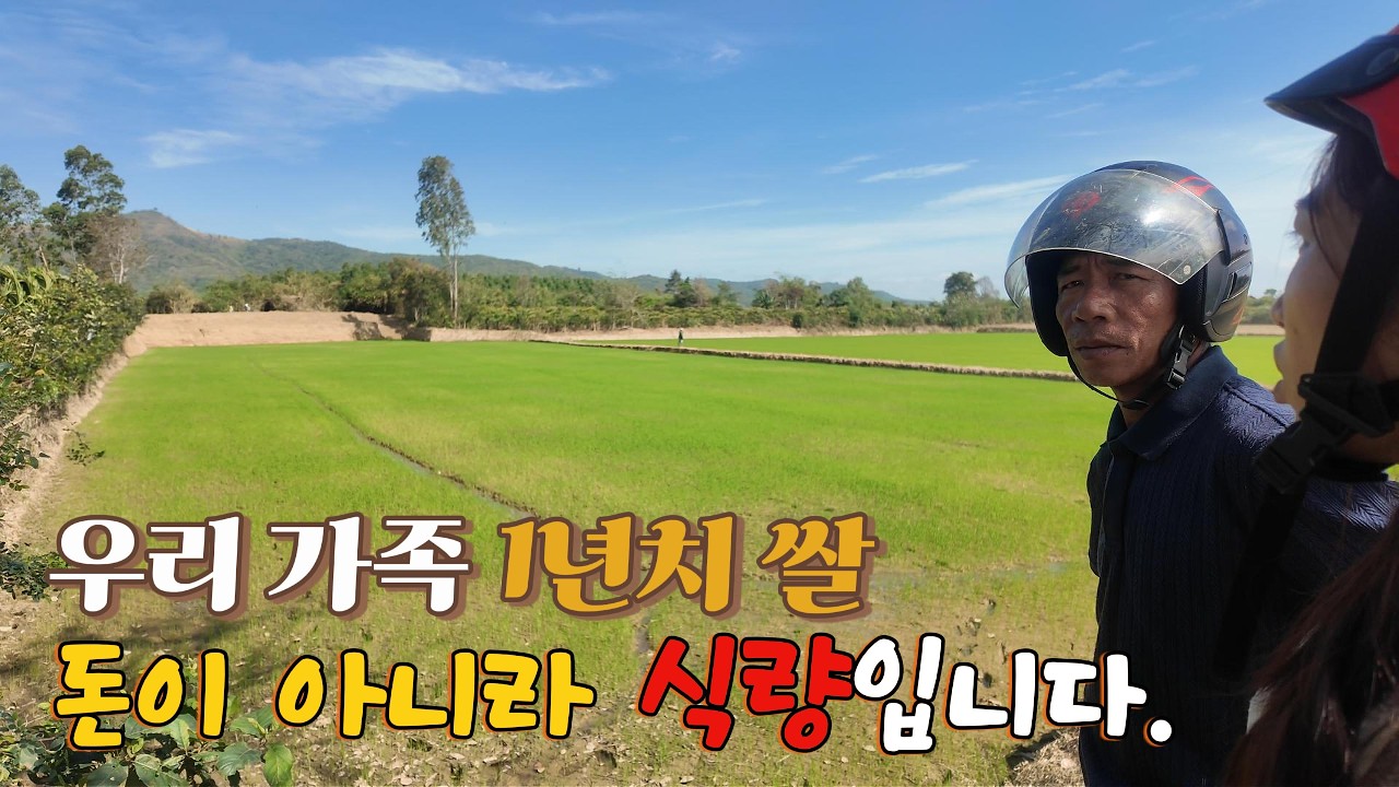 [베트남 이민생활] 설날에 처가집 논을 보고 왔습니다.