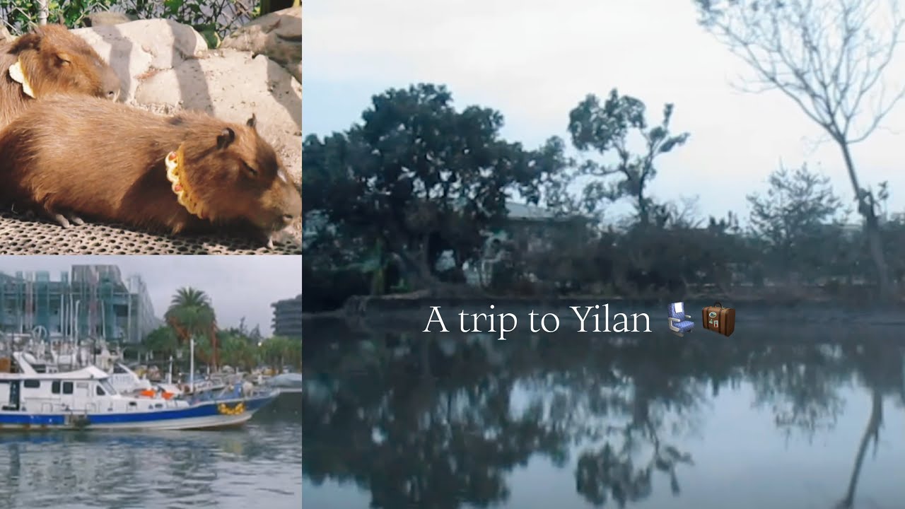 YILAN VLOG｜和摯友們的冬日旅行, Food, animals and Whales ‧⁺ ⊹˚. ❄️
