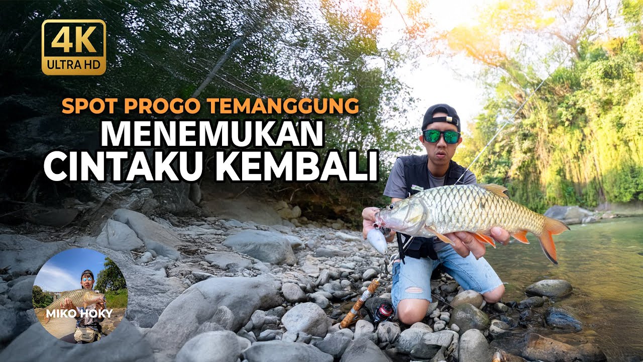 Mancing Hampala Progo Temanggung Lagi Kita Kawan Ketika Sungai Mulai Kondusif