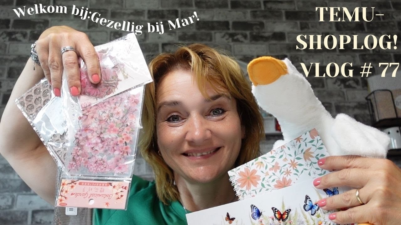 TEMU-SHOPLOG! #77