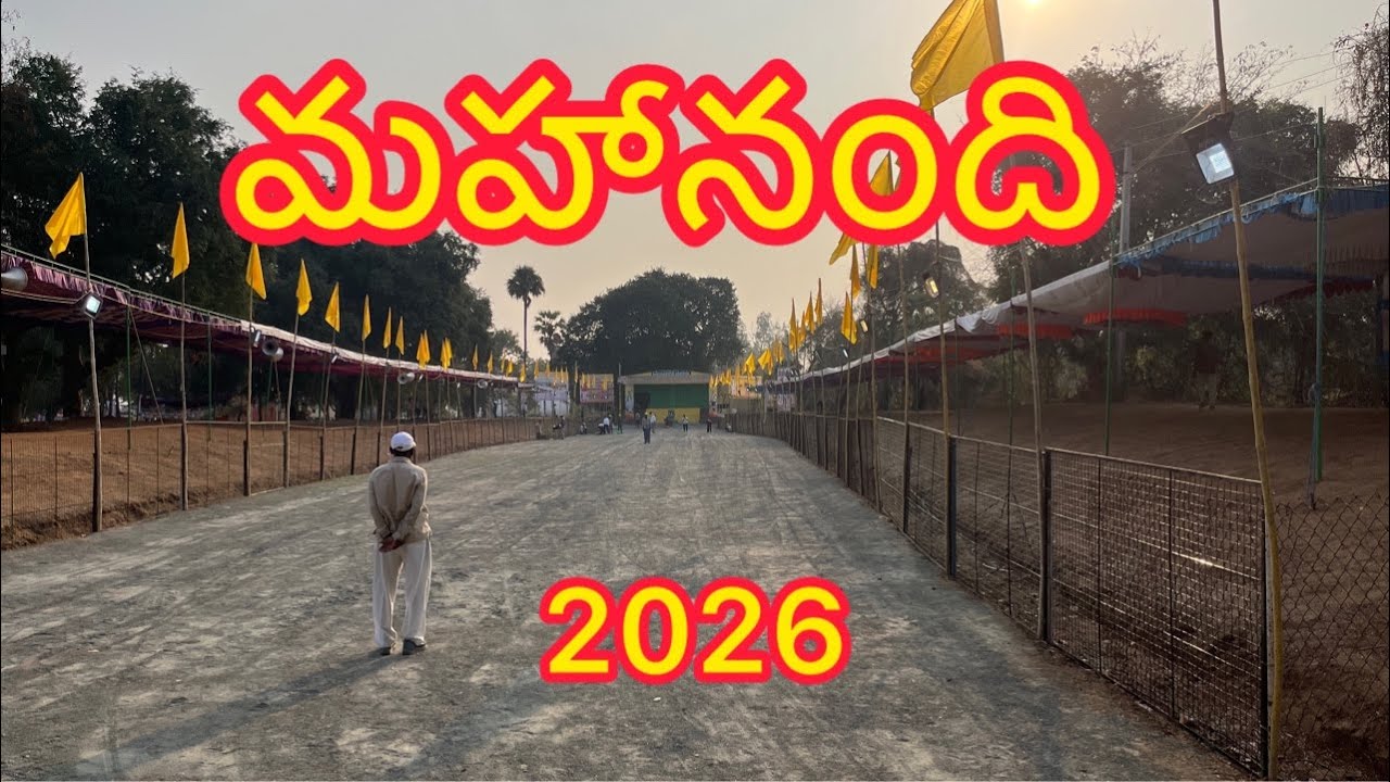ముస్తాబవుతున్న మహానంది కోర్ట్ | మహానంది 2026 | మన ఒంగోలు గిత్తలు