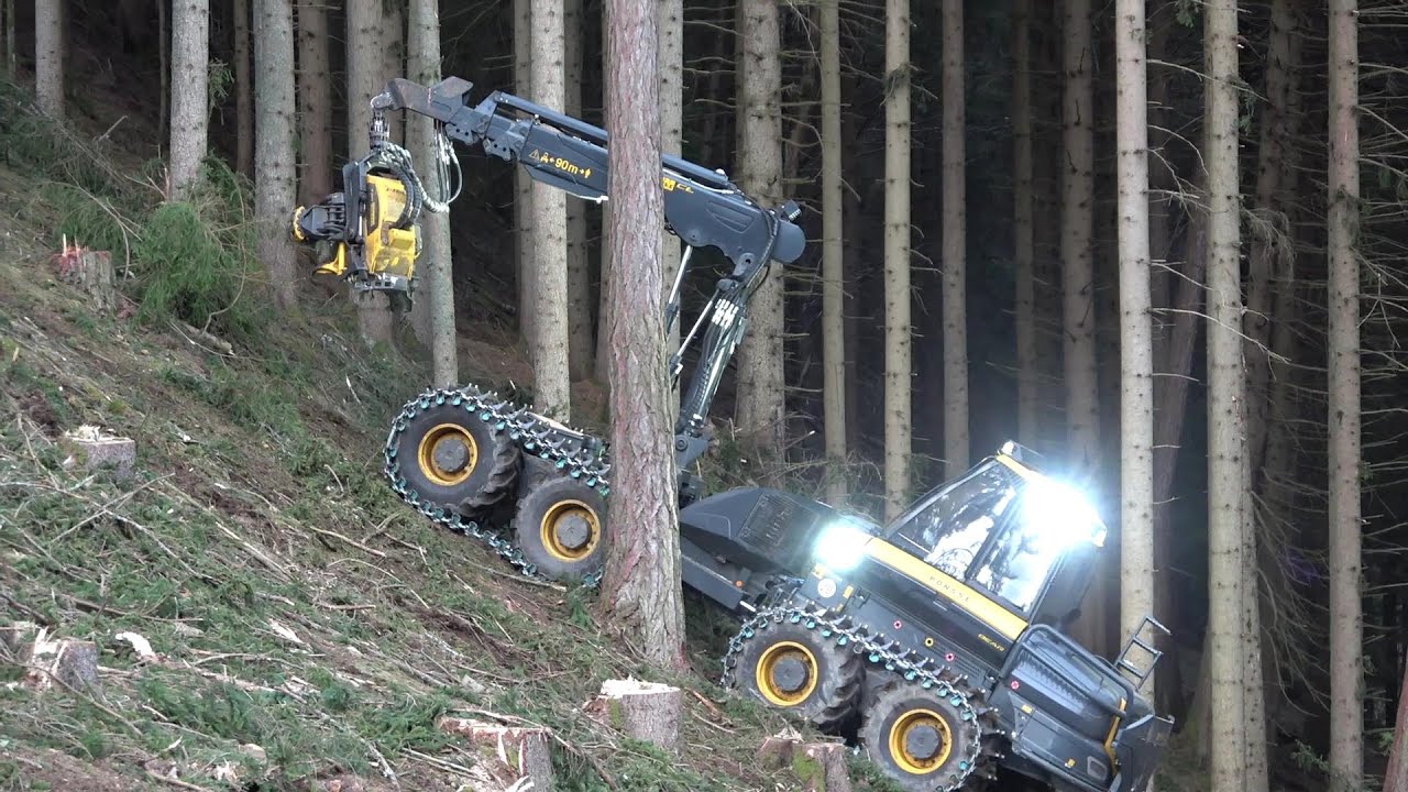 🌲 Logging in Austria 🌲Bear & Buffalo | Holztransport ist der schönste Sport