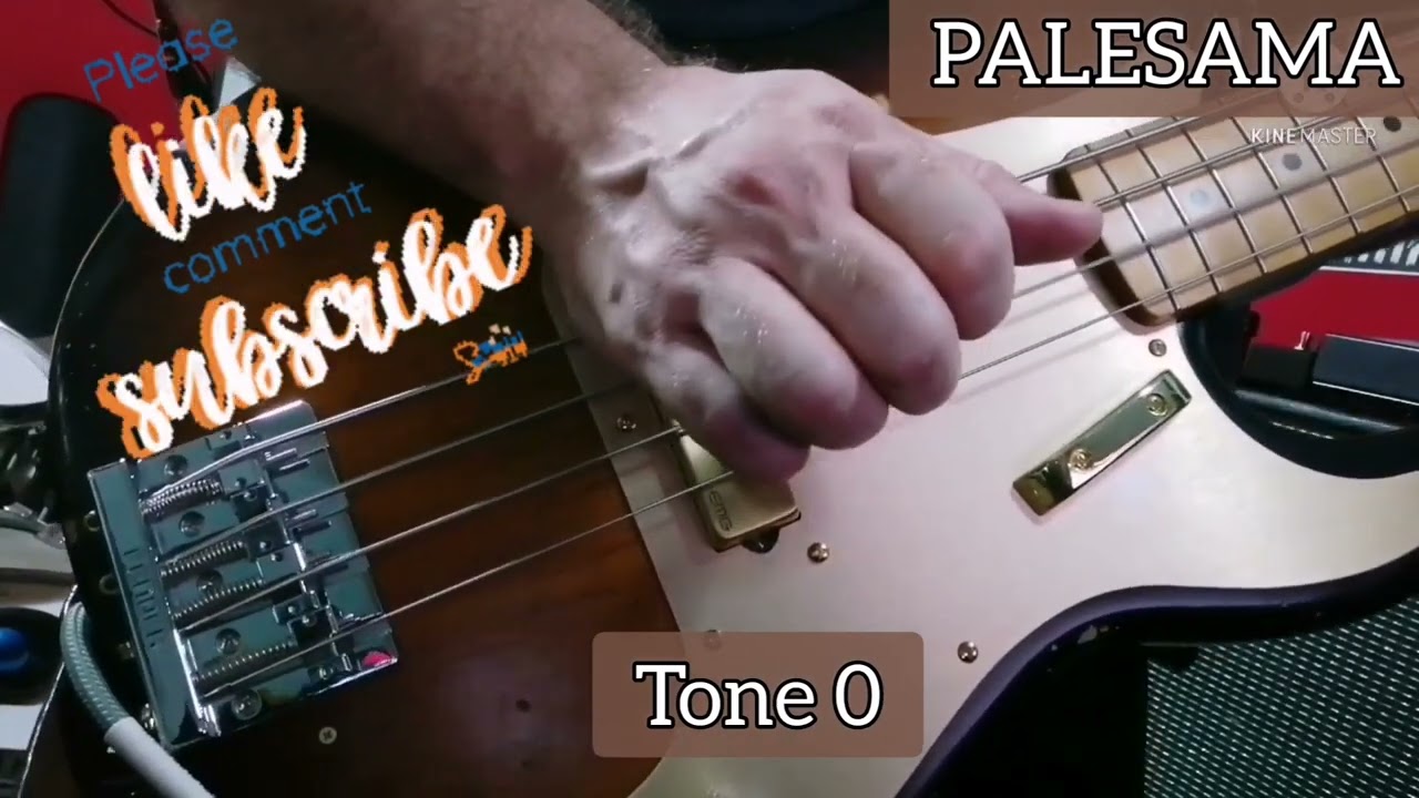 Fender HiMass & GOTOH 201B4 Bass Bridge